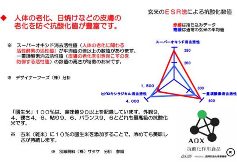 抗酸化比較